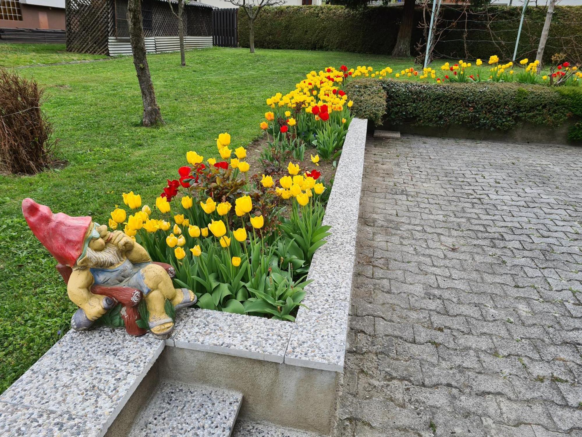 Apartment Petek Bled Bagian luar foto
